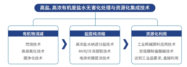 ����� | �ٷ���վ