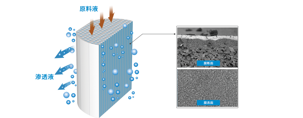 ����� | �ٷ���վ