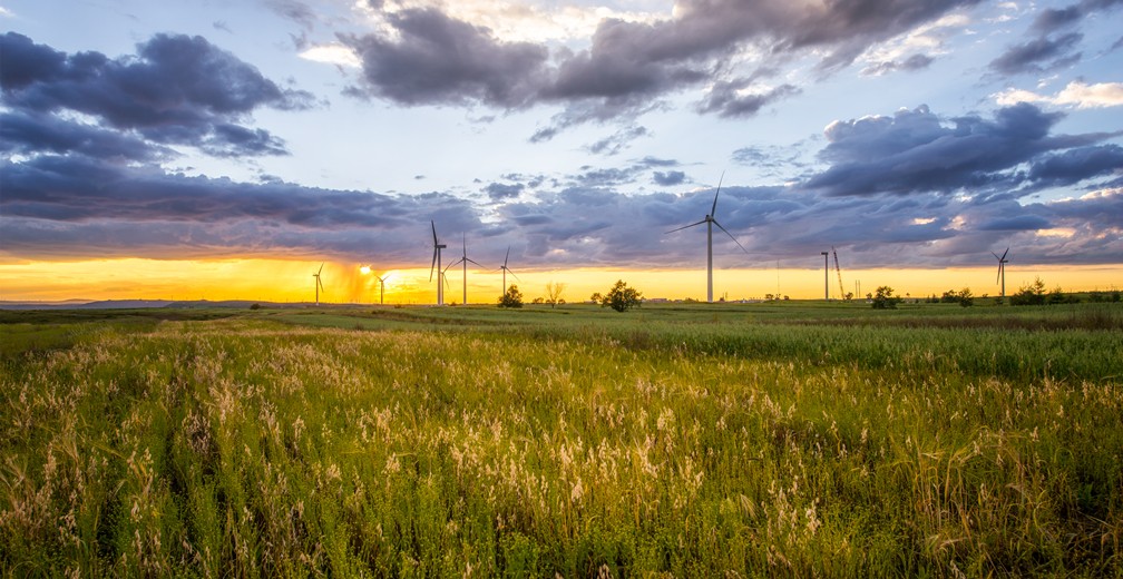 ����� | �ٷ���վ