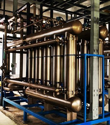 ����� | �ٷ���վ