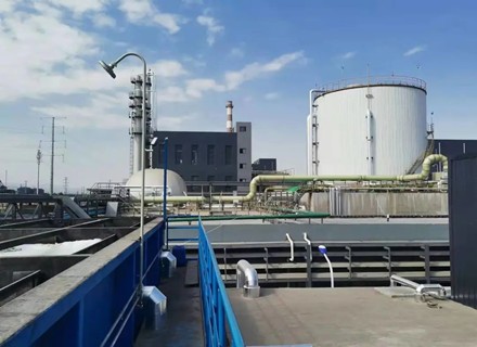 ����� | �ٷ���վ